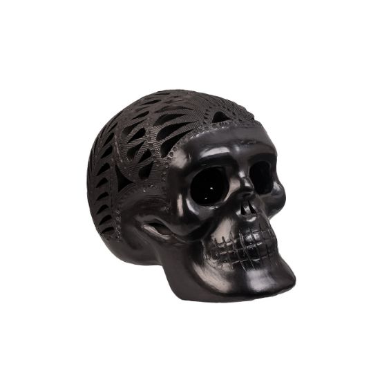 Imagen de Cráneo chico