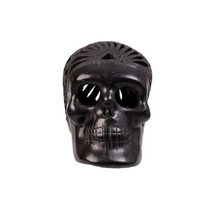 Imagen de Cráneo chico