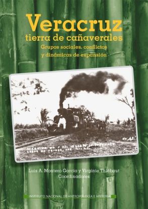 Imagen de Libro Veracruz, tierra de cañaverales: Grupos sociales, conflictos y dinámicas de expansión