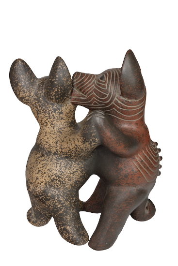 Imagen de Pareja de perros