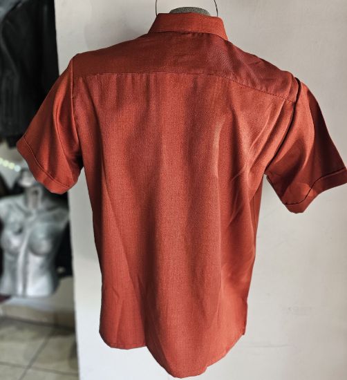 Imagen de Guayabera de Lino Terracota Manga Corta