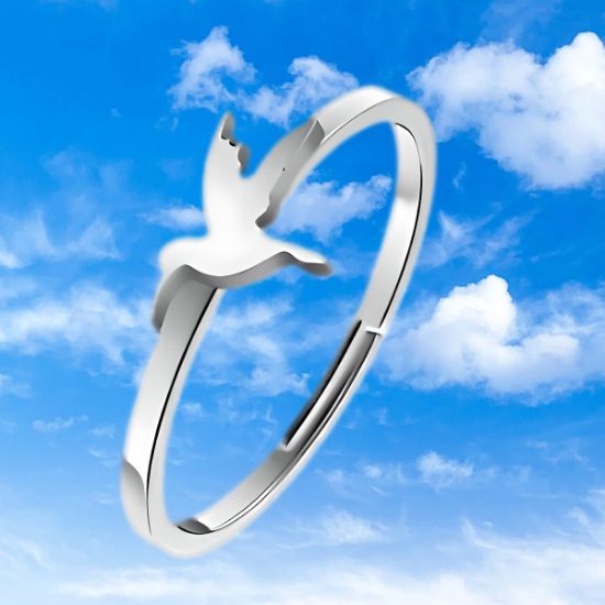 Imagen de  1 Anillo de Hermosisimo Colibrí  Acero Inoxidable Ajustable Alta Durabilidad+ 5 Modelos y Colores a Escoger X1ani