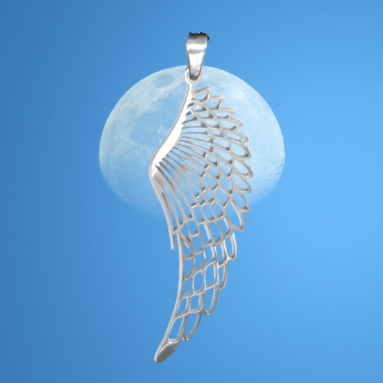 Imagen de Hermosas Alas de Angel Acero Inoxidable en Aretes o Dije-Collar+ de 9 modelos para Escoger x1-alas