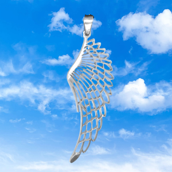 Imagen de Hermosas Alas de Angel Acero Inoxidable en Aretes o Dije-Collar+ de 9 modelos para Escoger x1-alas