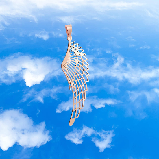 Imagen de Hermosas Alas de Angel Acero Inoxidable en Aretes o Dije-Collar+ de 9 modelos para Escoger x1-alas