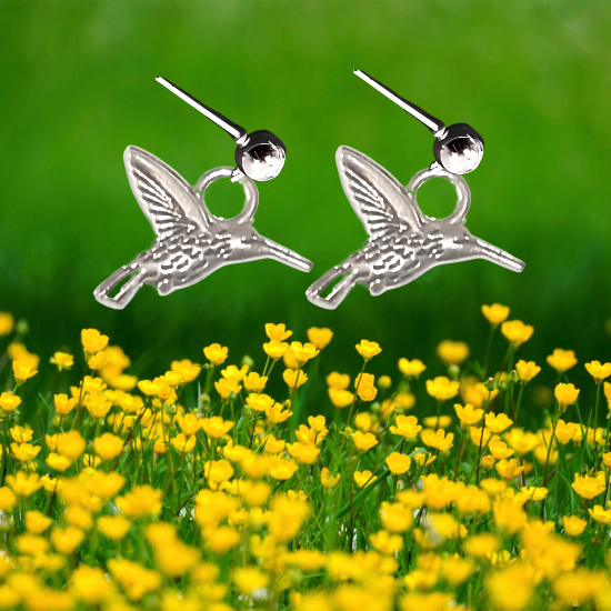 Imagen de 1 Par de Bonitos Colibries en Aretes Acero Alta Durabilidad +5 Modelos y Colores para Escoger x1-4colib