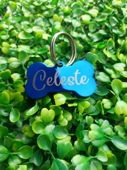 Imagen de PLACA DE IDENTIFICACION ACERO INOXIDABLE HUESO MEDIANO 