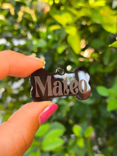 Imagen de PLACA DE IDENTIFICACION ACERO INOXIDABLE HUESO MEDIANO 