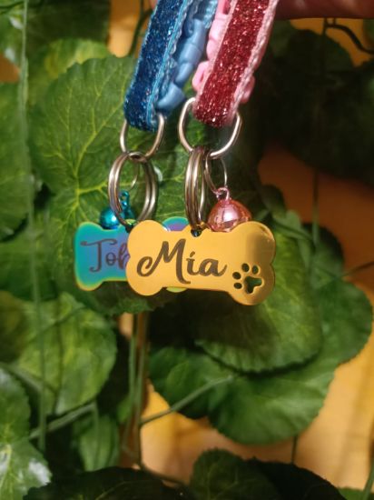 Imagen de PLACA DE IDENTIFICACION ACERO INOXIDABLE HUESO MEDIANO 