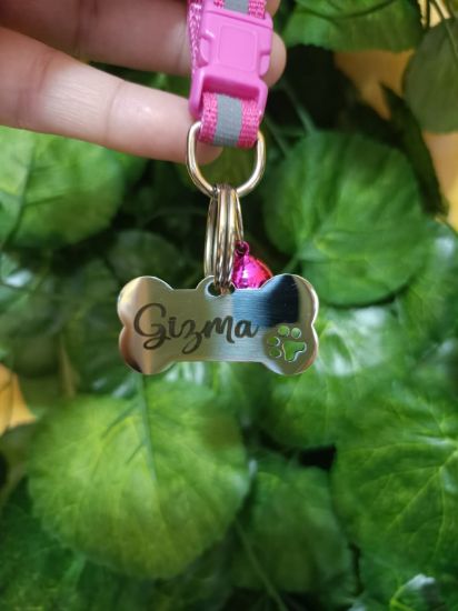 Imagen de PLACA DE IDENTIFICACION ACERO INOXIDABLE HUESO MEDIANO 