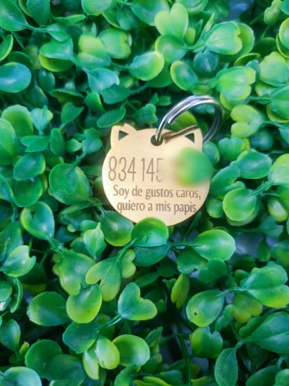 Imagen de PLACA DE IDENTIFICACION DE ACERO INOXIDABLE