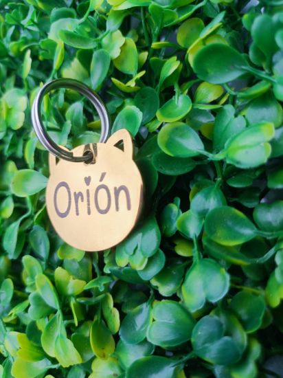 Imagen de PLACA DE IDENTIFICACION DE ACERO INOXIDABLE