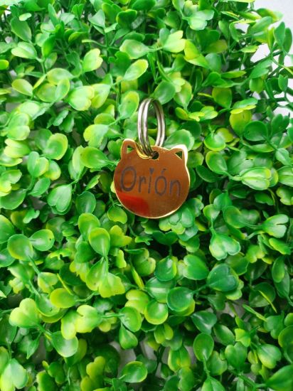 Imagen de PLACA DE IDENTIFICACION DE ACERO INOXIDABLE