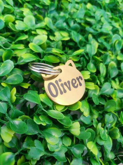 Imagen de PLACA DE IDENTIFICACION DE ACERO INOXIDABLE