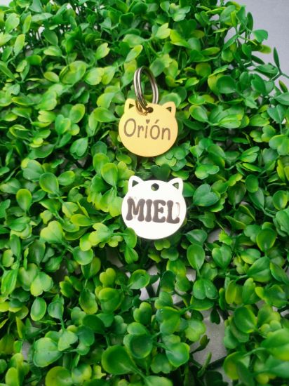 Imagen de PLACA DE IDENTIFICACION DE ACERO INOXIDABLE