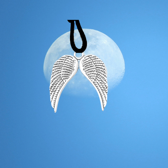 Imagen de 1 Collar con 1 Dije de Alas de Angel + de 10 Modelos para Escoger x1-7