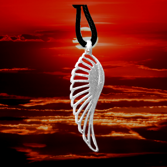 Imagen de 1 Collar con 1 Dije de Alas de Angel + de 10 Modelos para Escoger x1-7