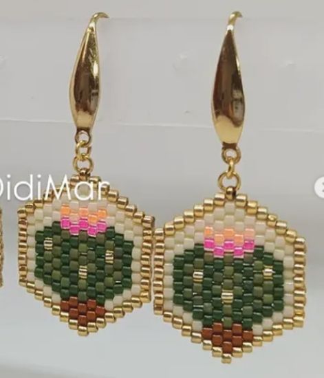 Imagen de ARETES HEXA CACTUS